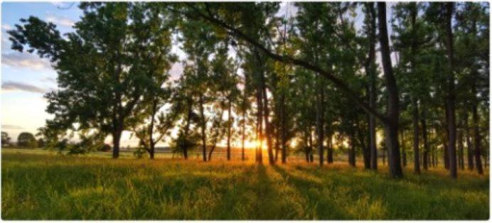 All Seasons Country Lodge Taree Exteriör bild