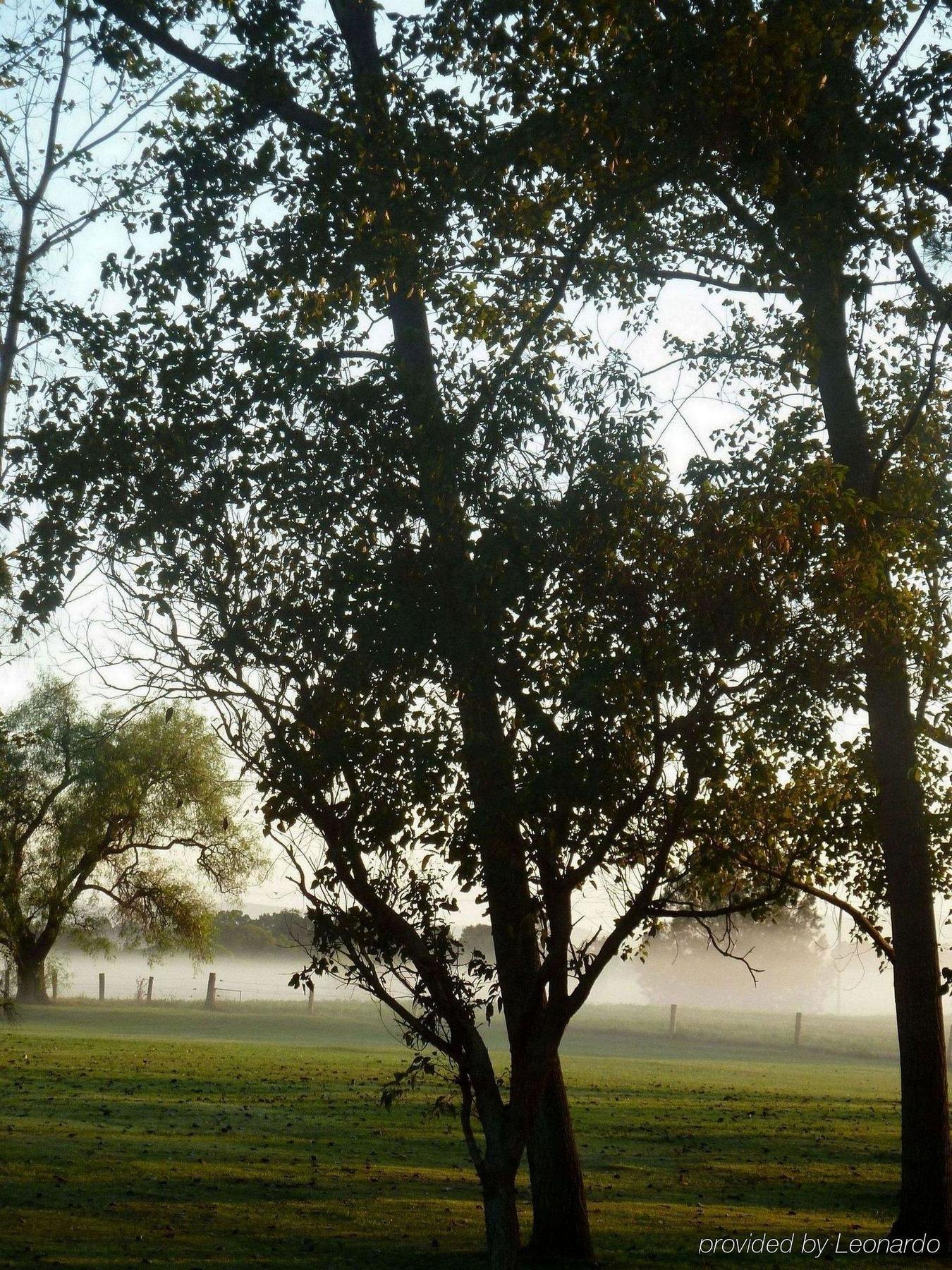 All Seasons Country Lodge Taree Exteriör bild