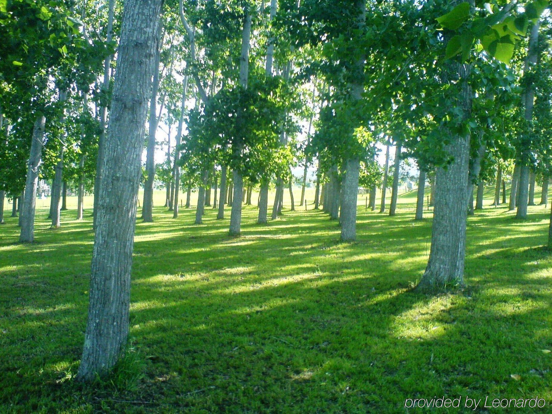 All Seasons Country Lodge Taree Exteriör bild